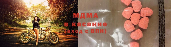 сатива Зерноград