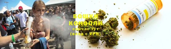 сатива Зерноград
