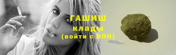 сатива Зерноград