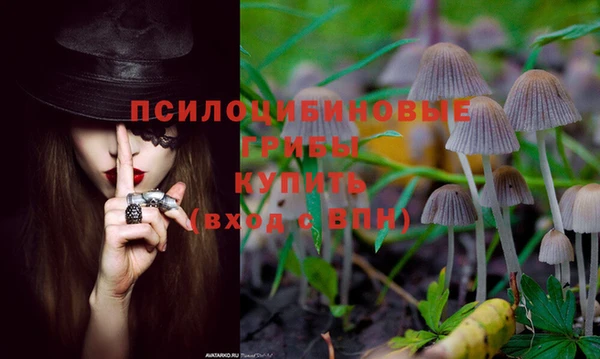 трава Зеленодольск
