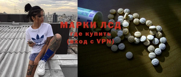 сатива Зерноград