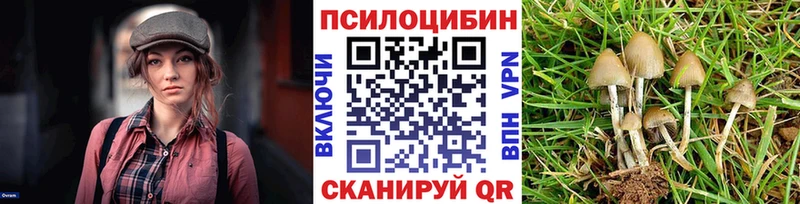 Псилоцибиновые грибы мухоморы  Купить закладки  Новая Ляля 